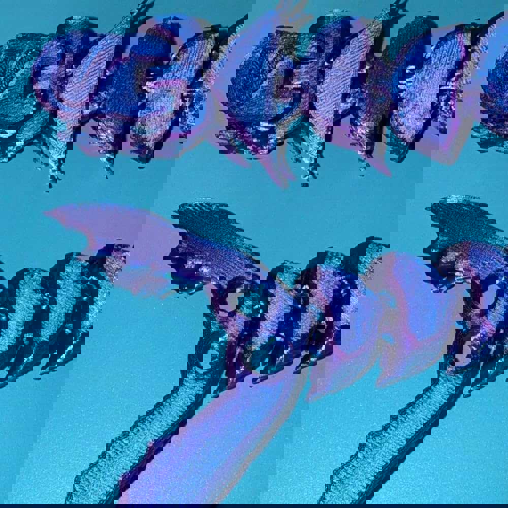 366292