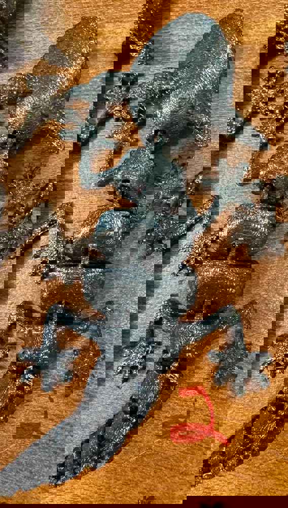 365544