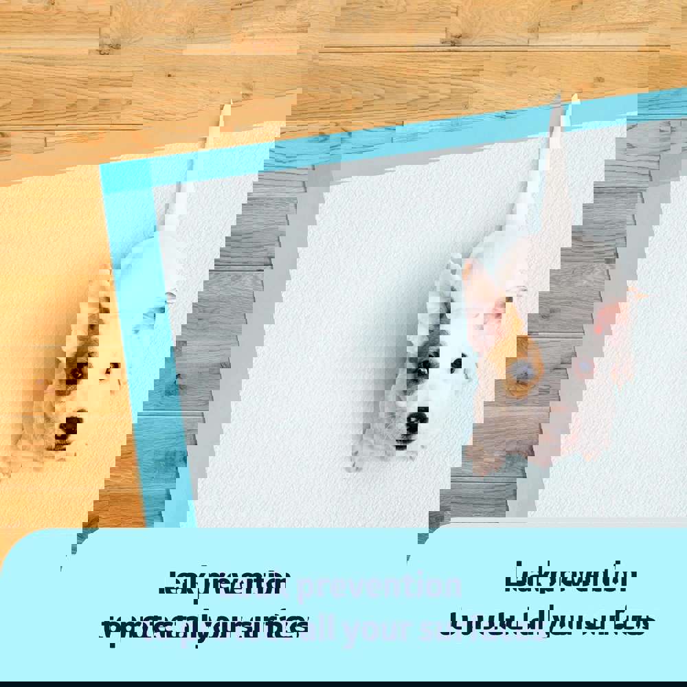 366947