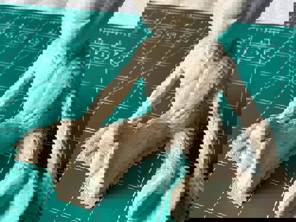 365531