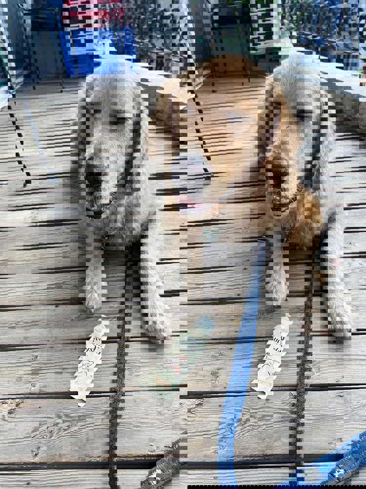 386569