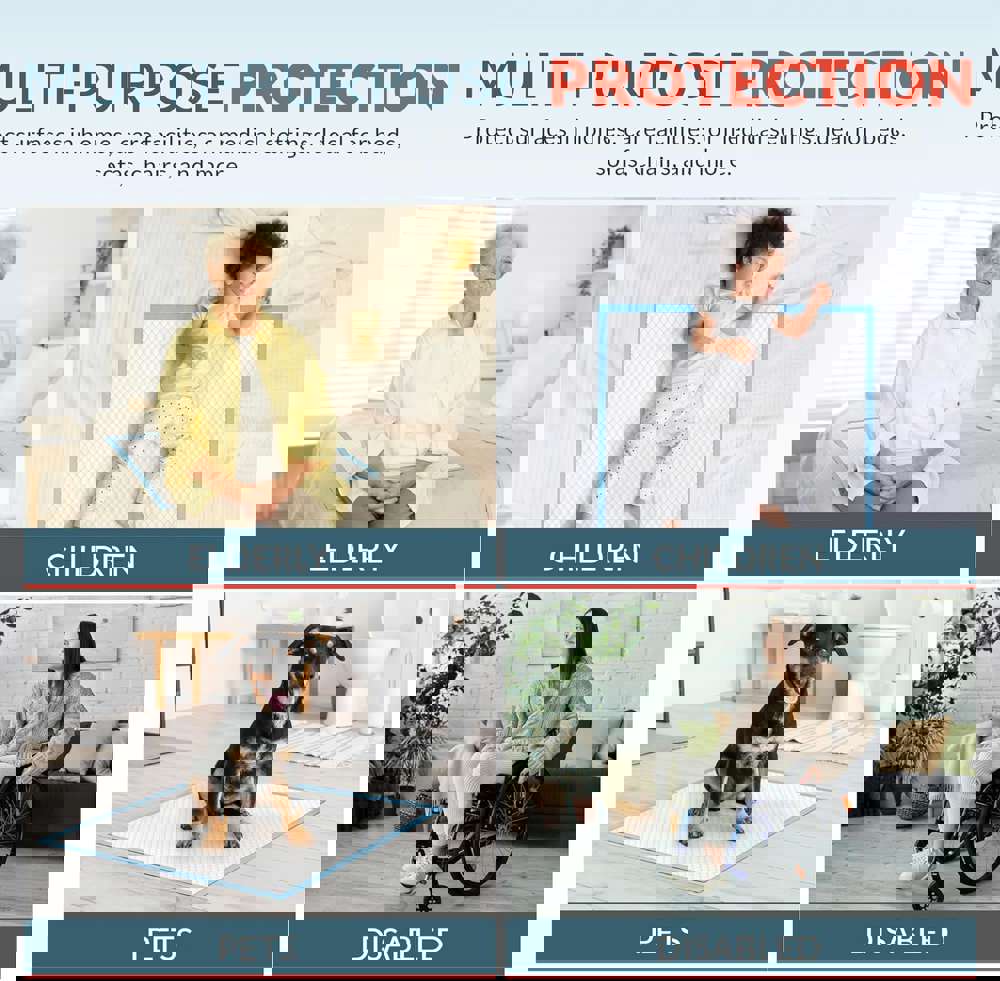 372808