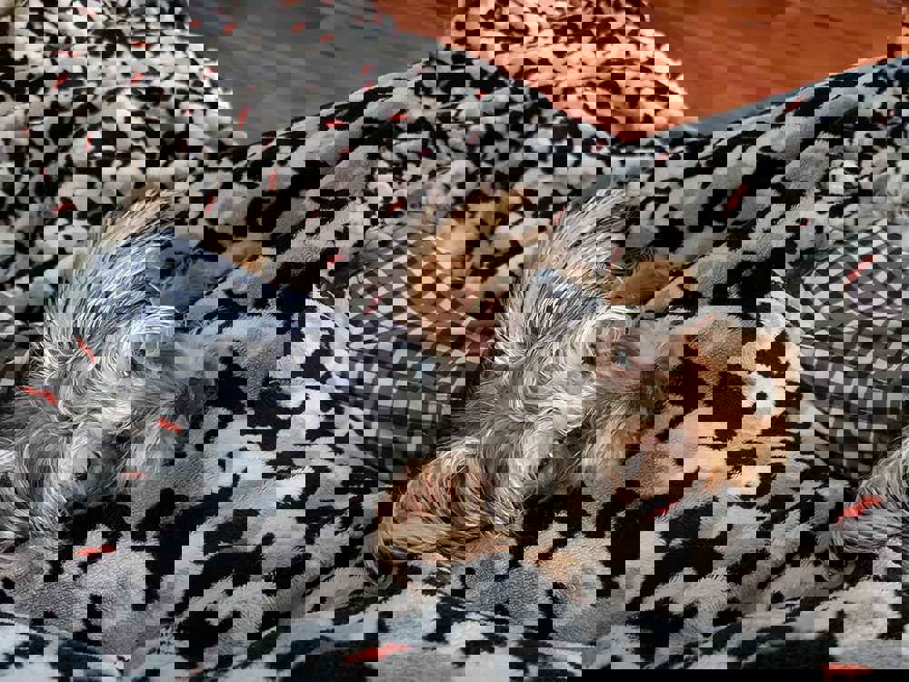 381763