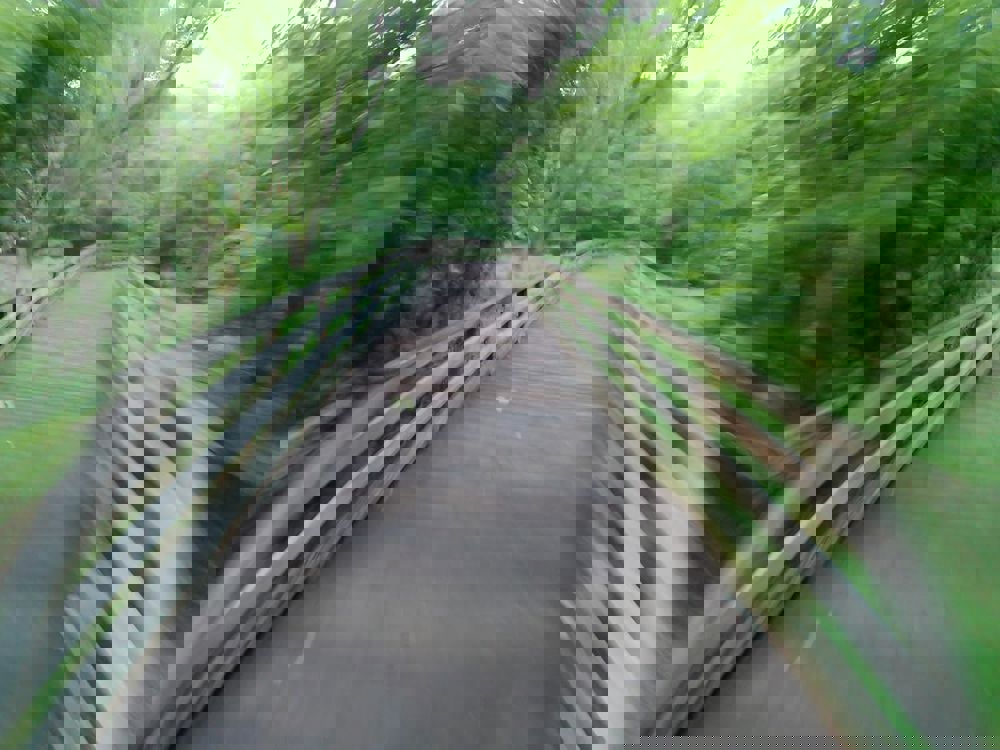 386547