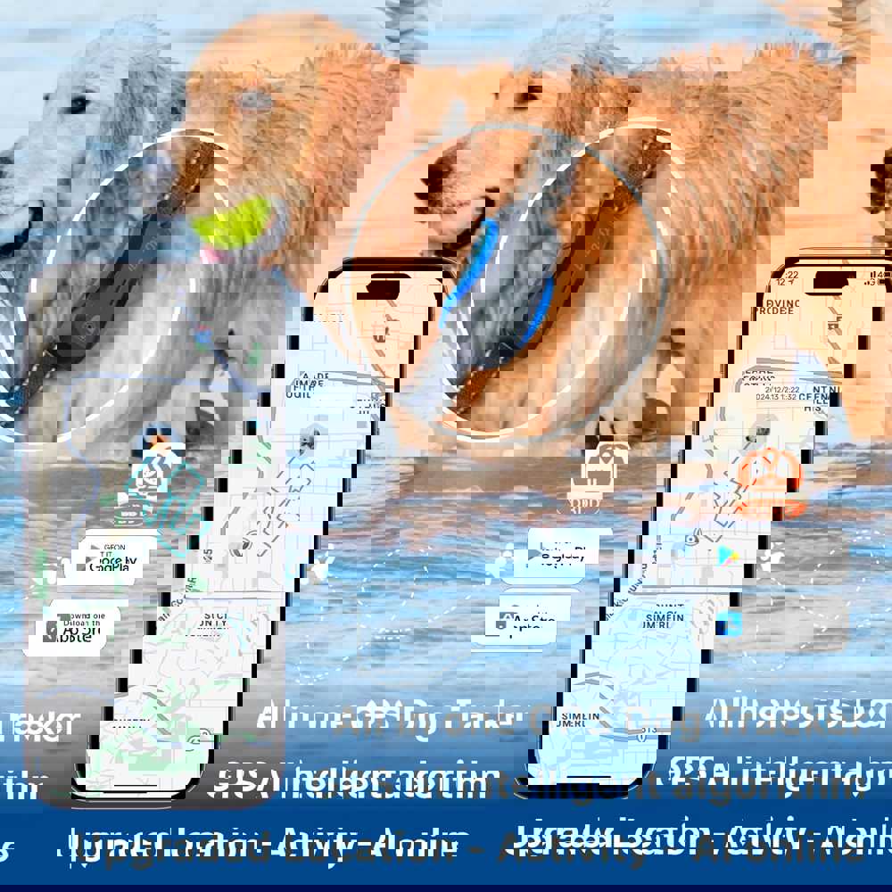 381704