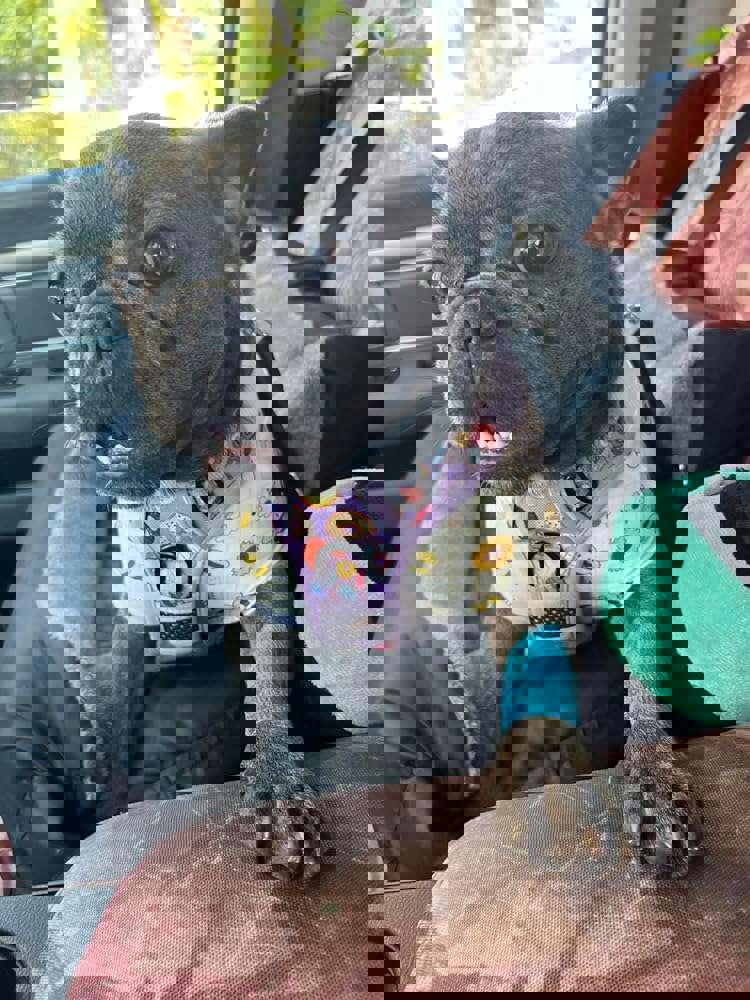 381758