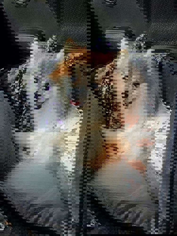 381755