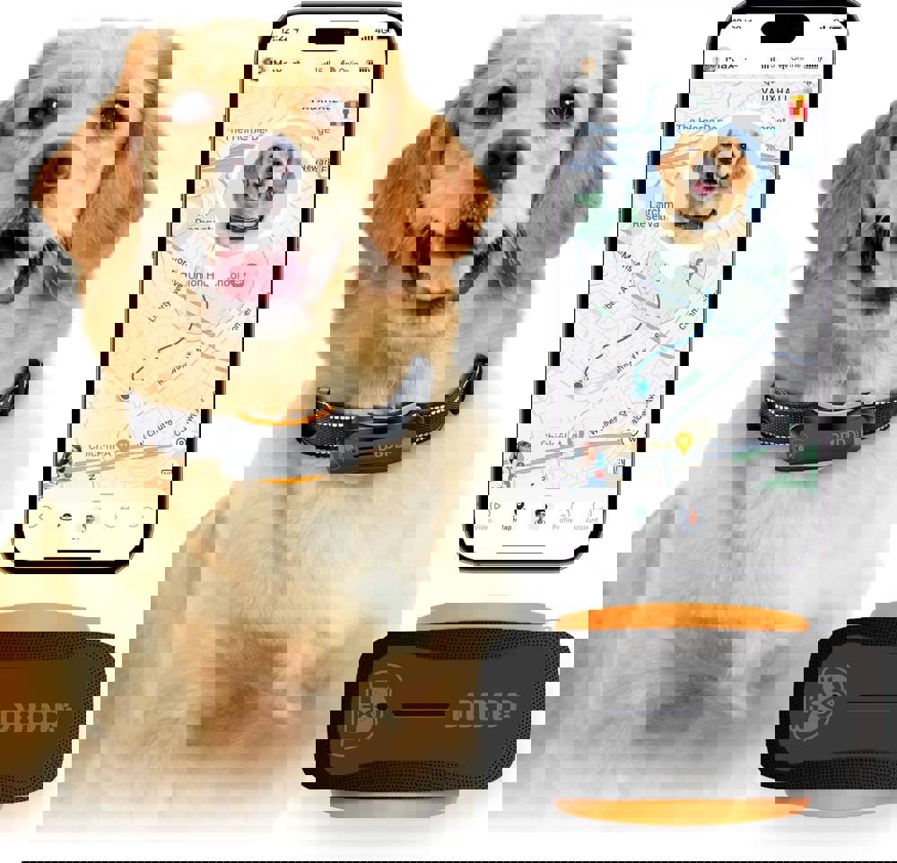 381703