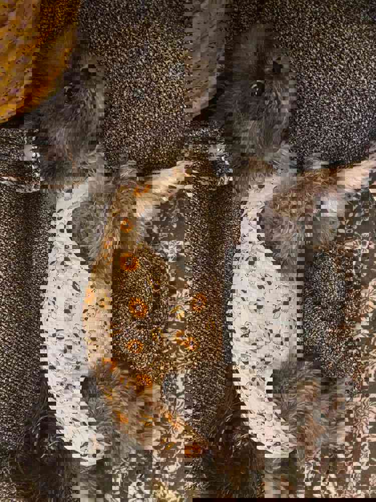 381760