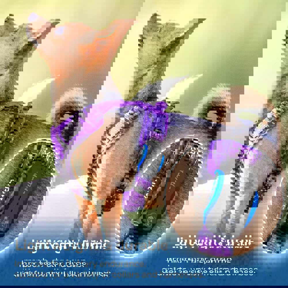 381708