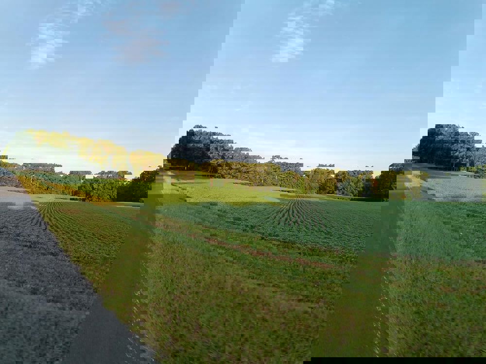 386548