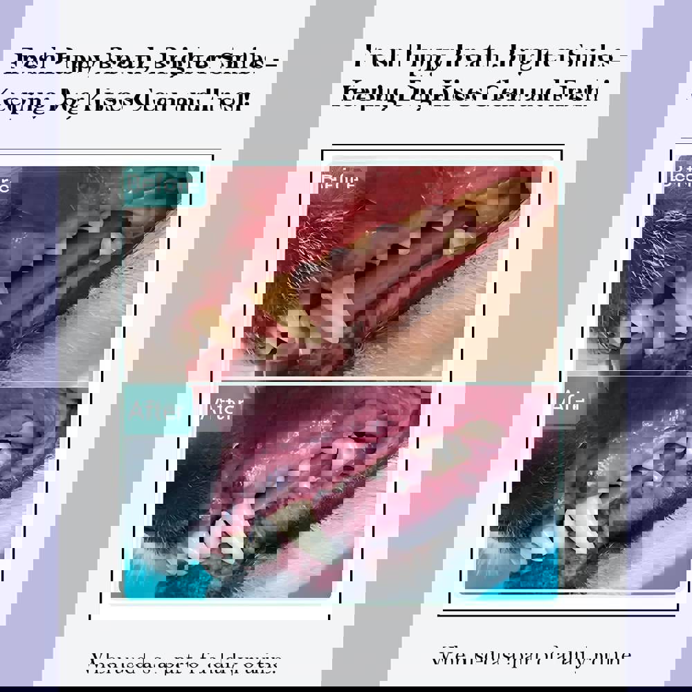 381749