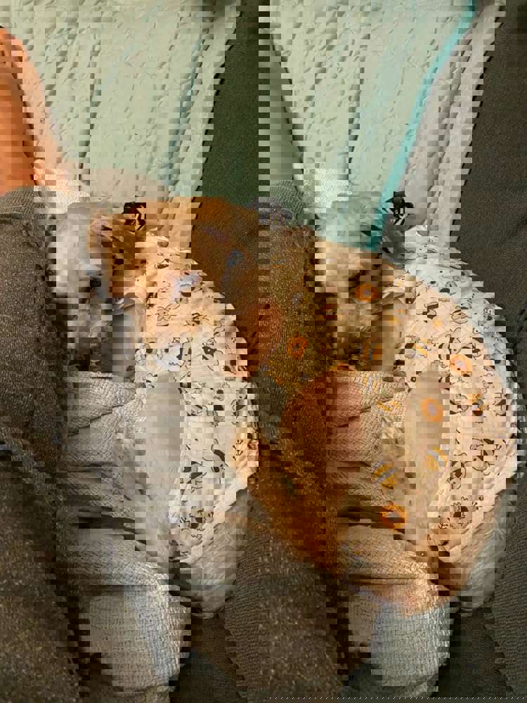 381759