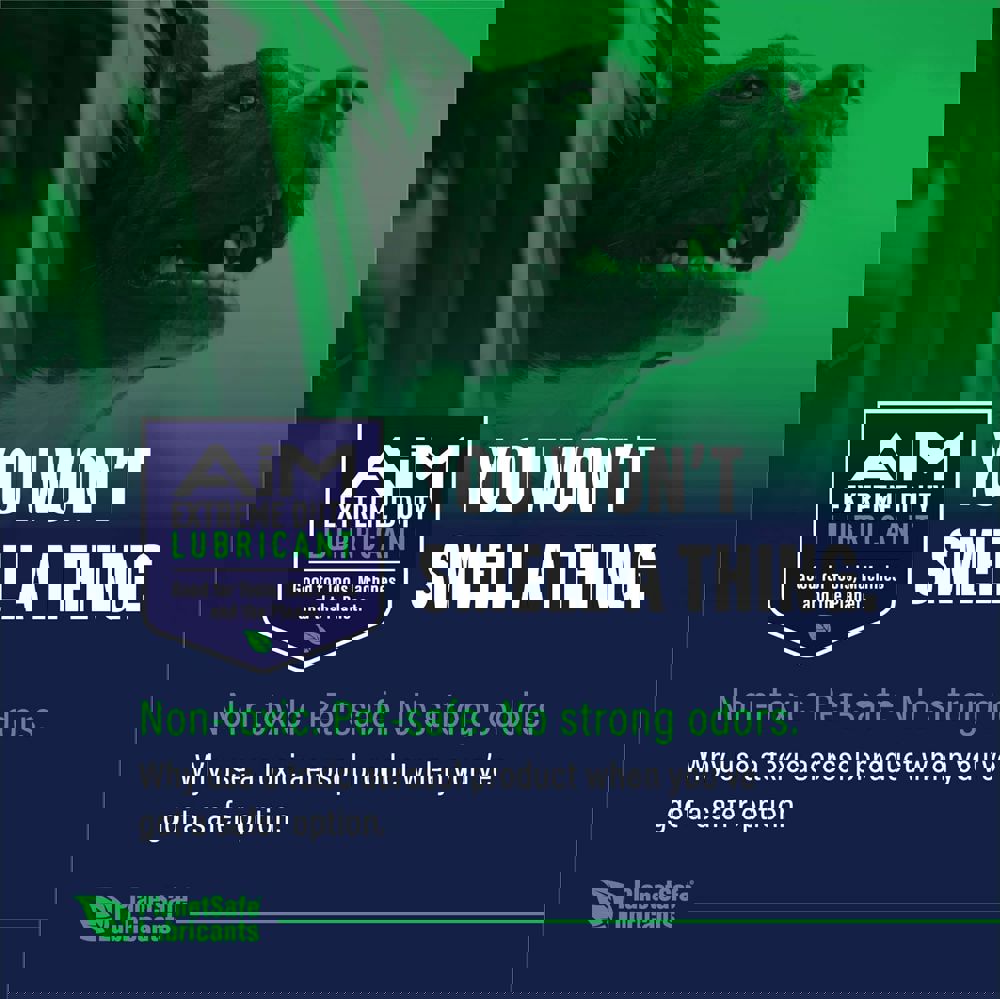 369650