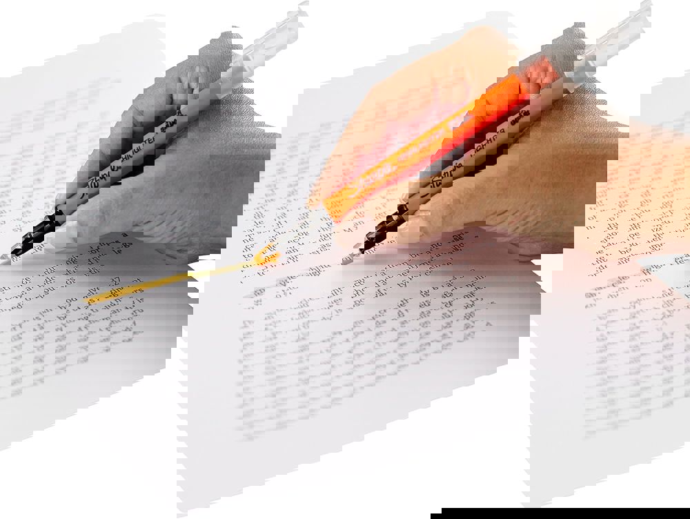 381010