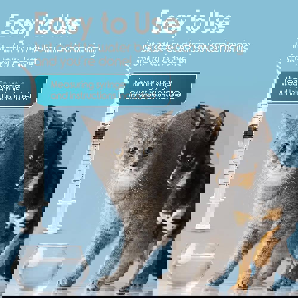 406828