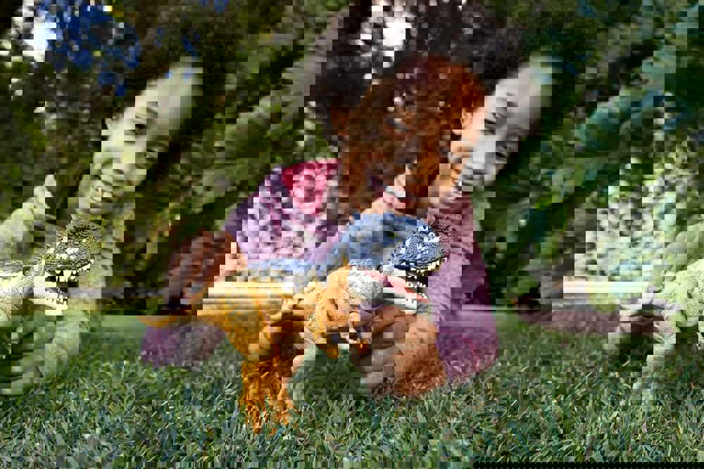 405293