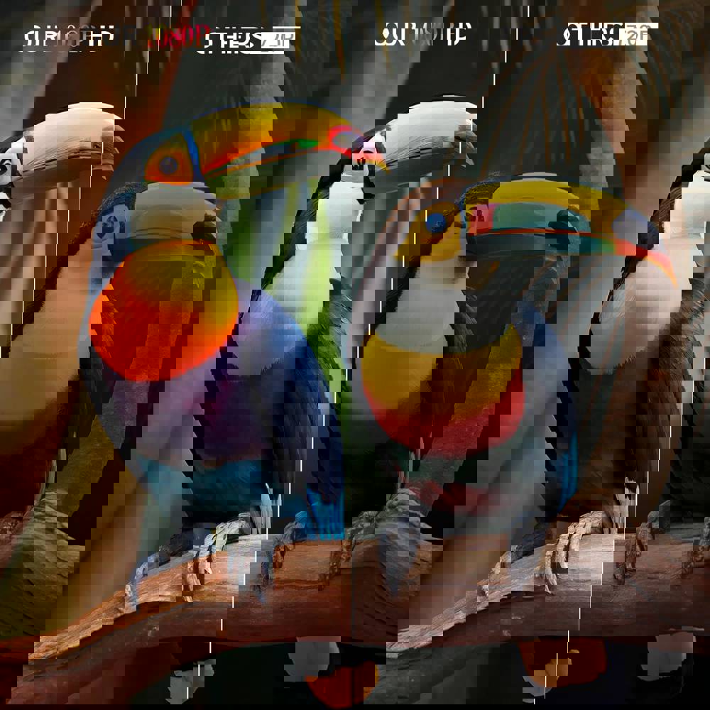 405234