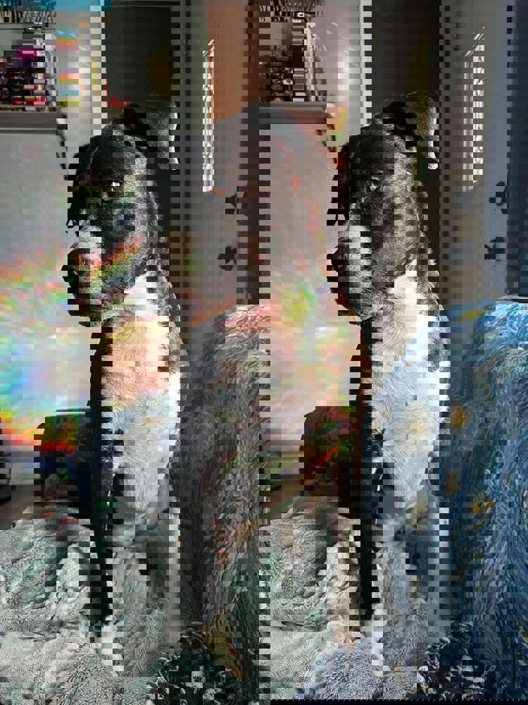 405182