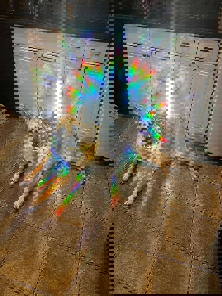405179