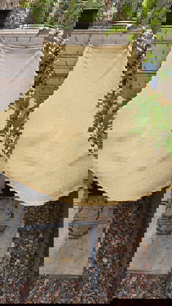 405254