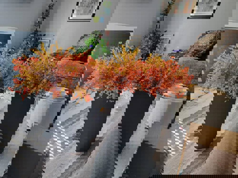 404782