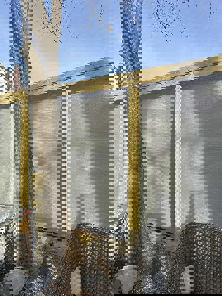 398561