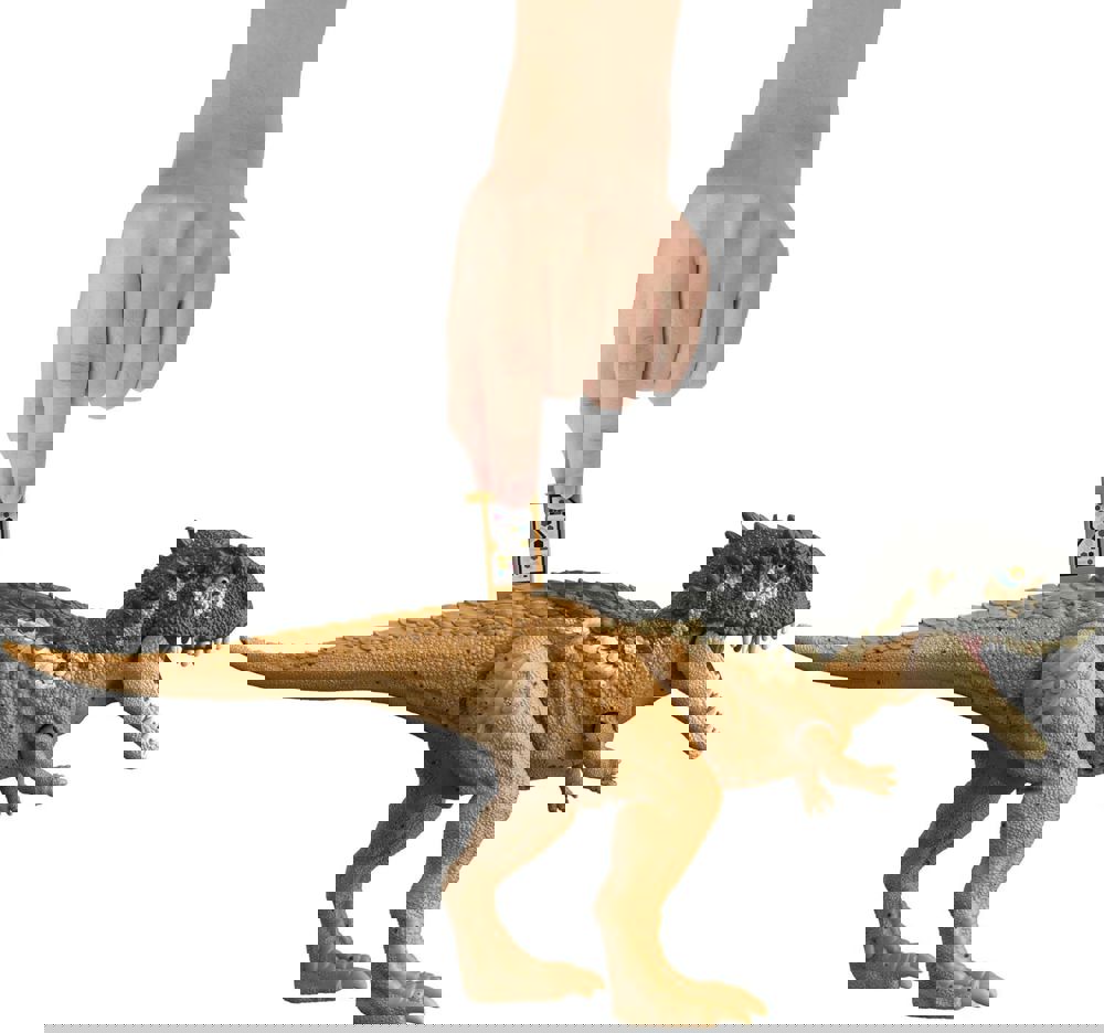 405295