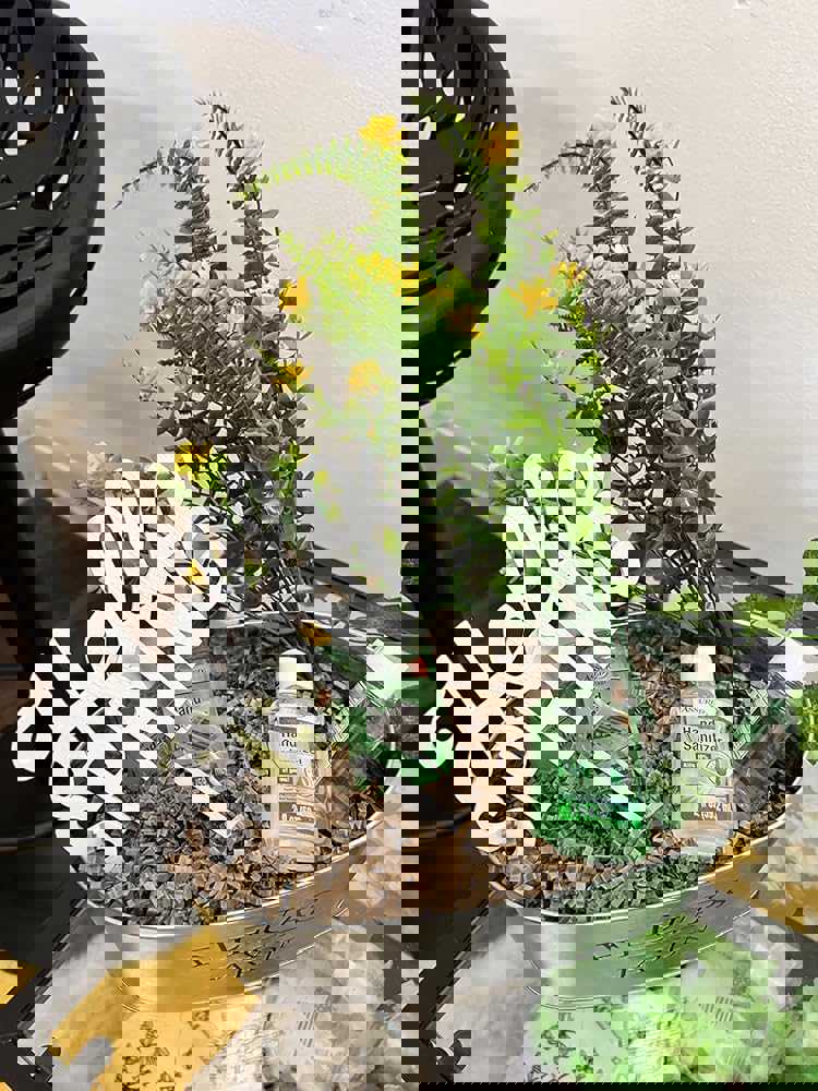 404785