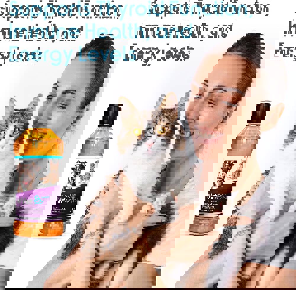 406827