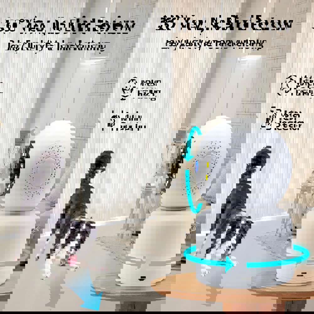437041