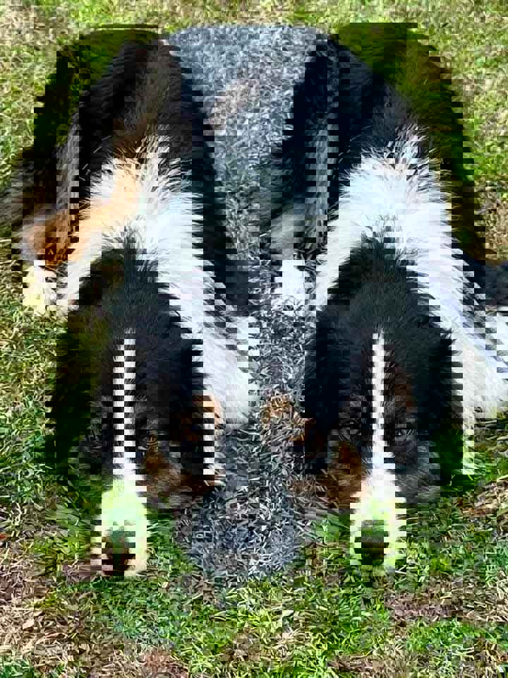 427476