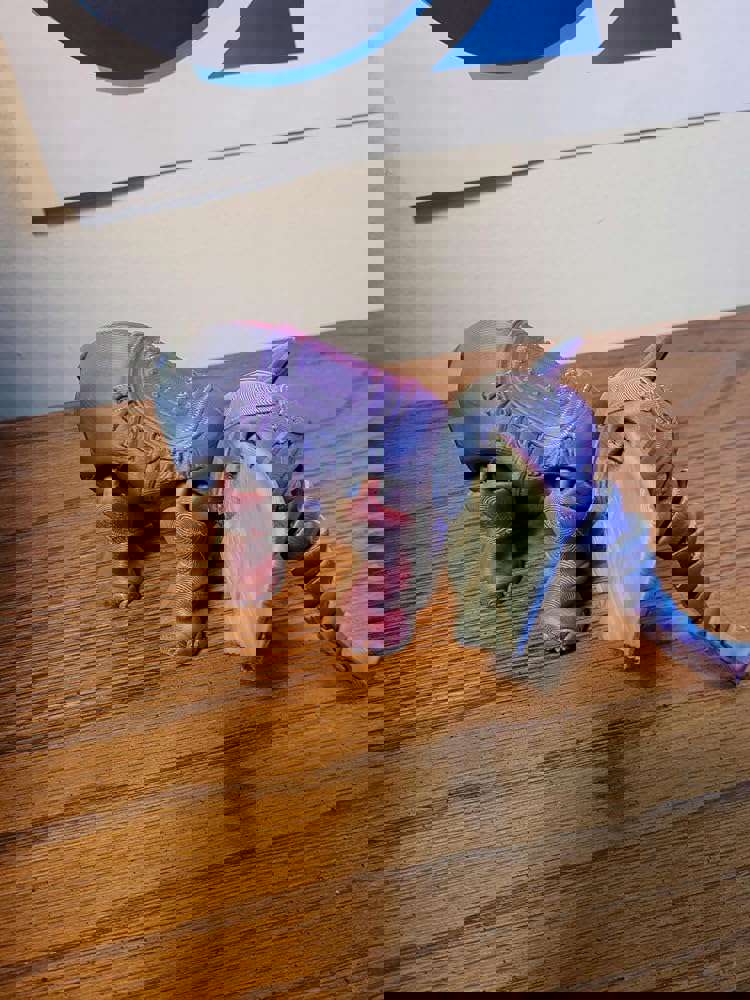 410784