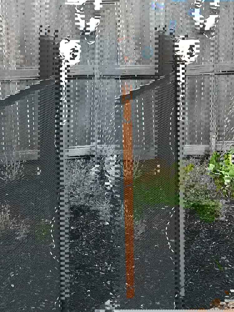 436683