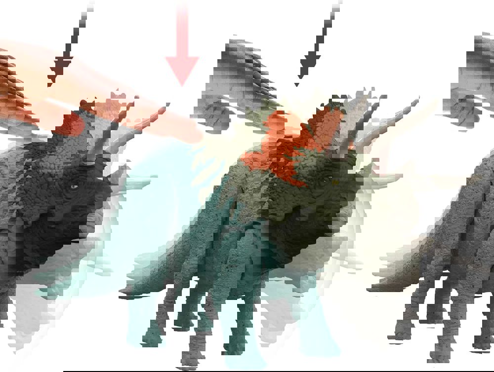 465306