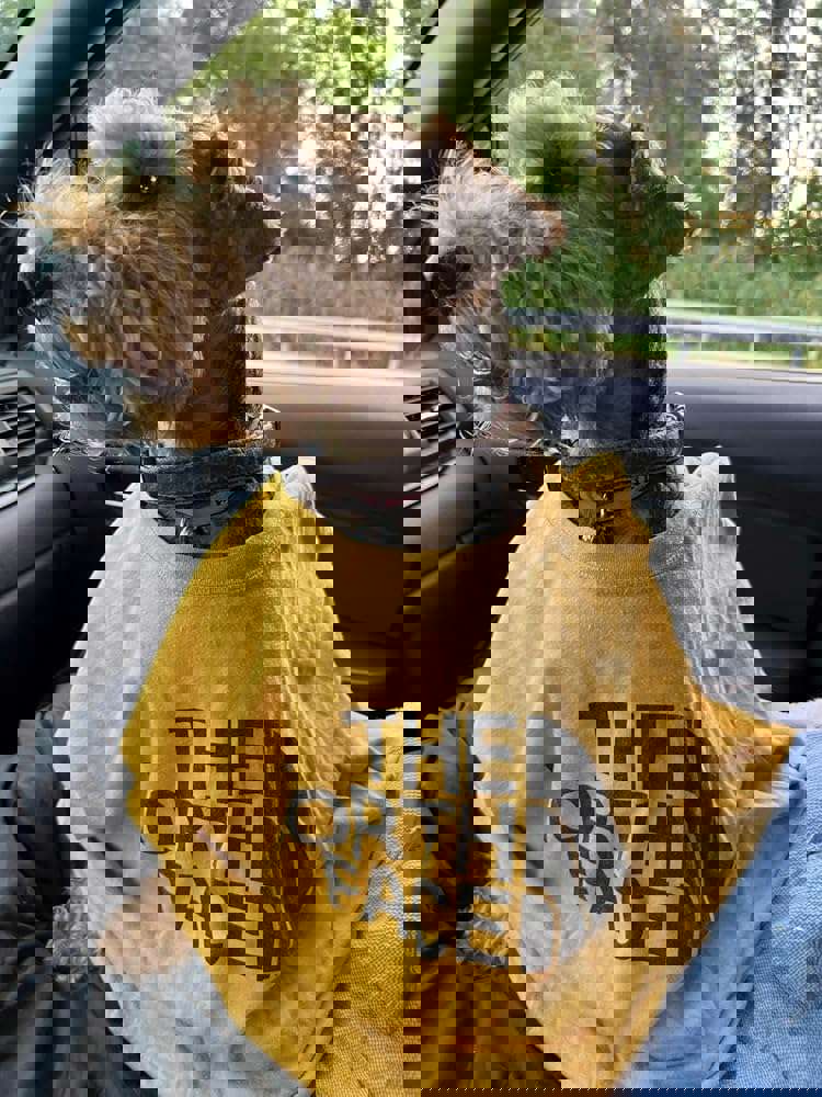 475225