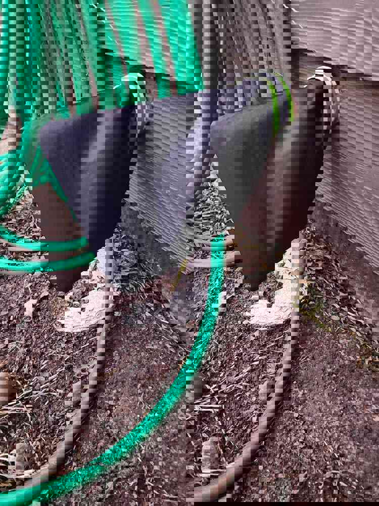 541450
