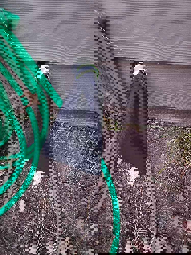 541449