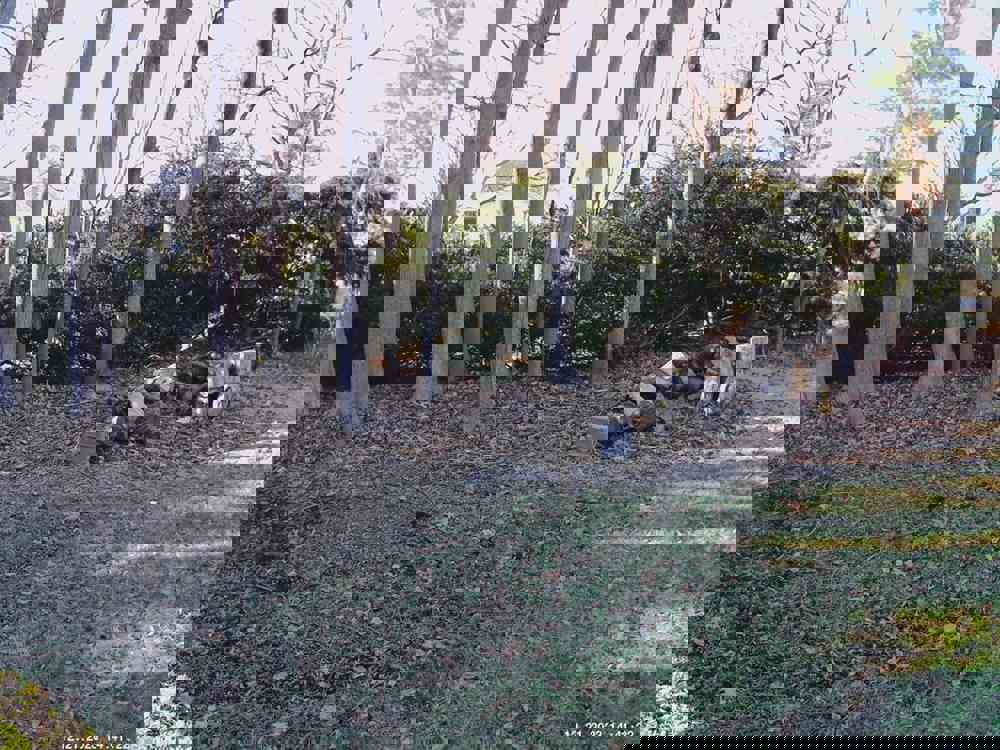 539460