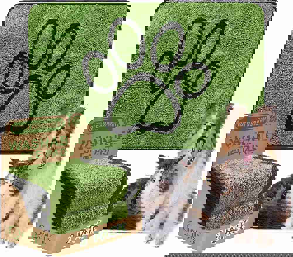 532344
