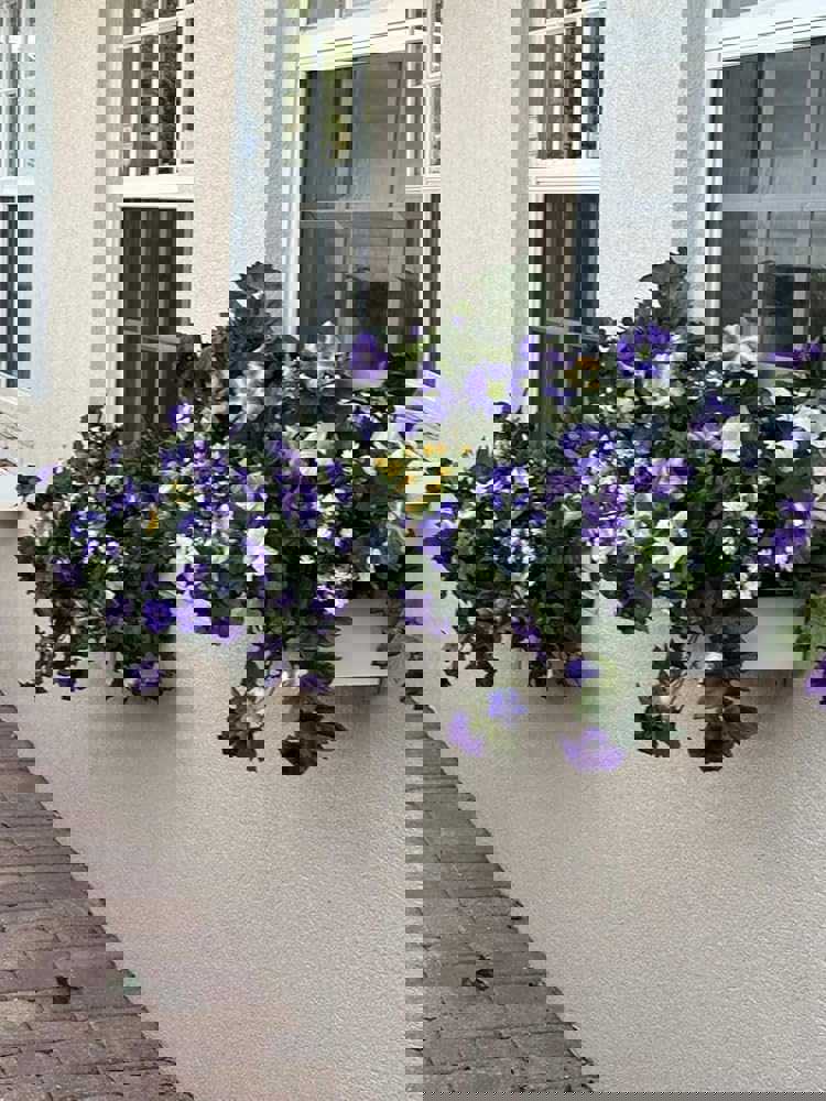 546078