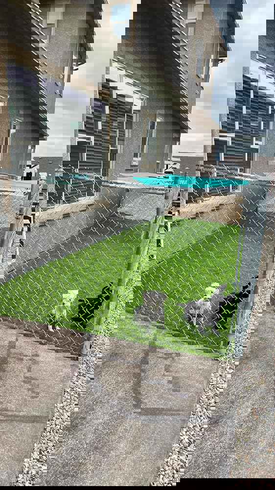 555441
