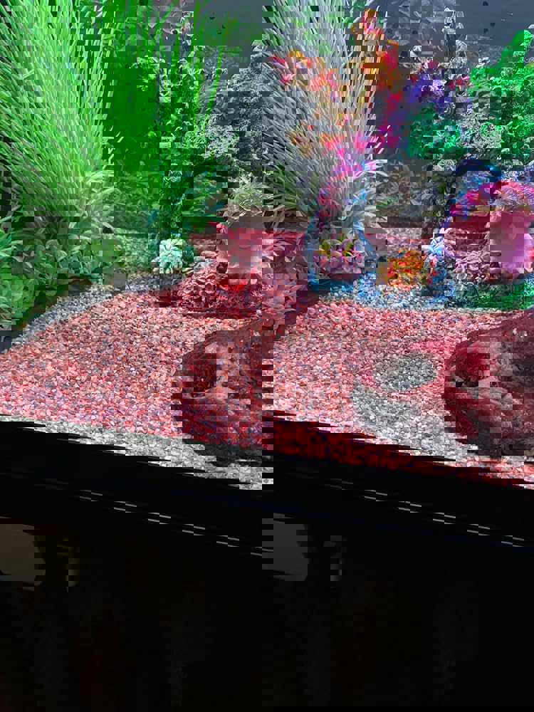 551323