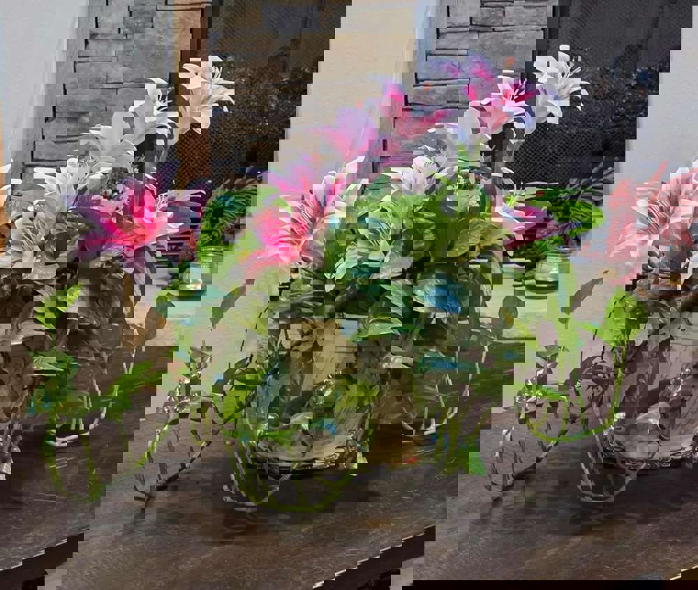 559365