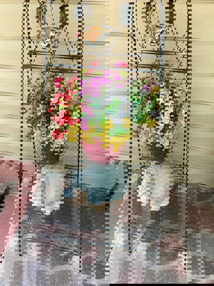 546095