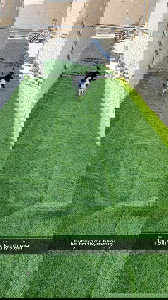 555440