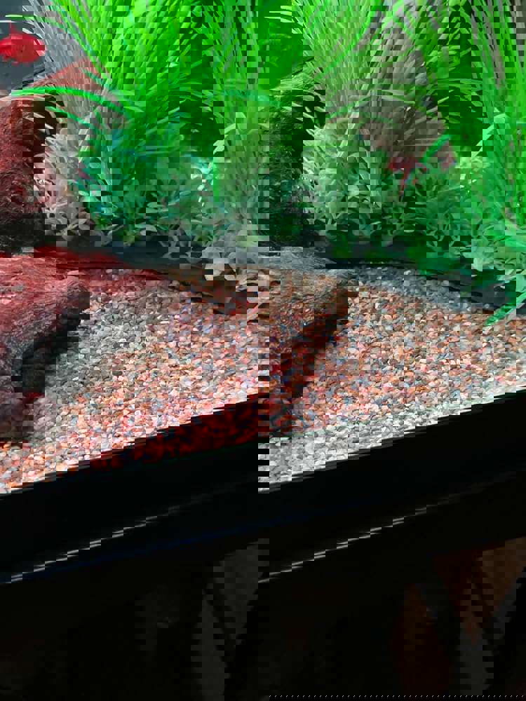 551324
