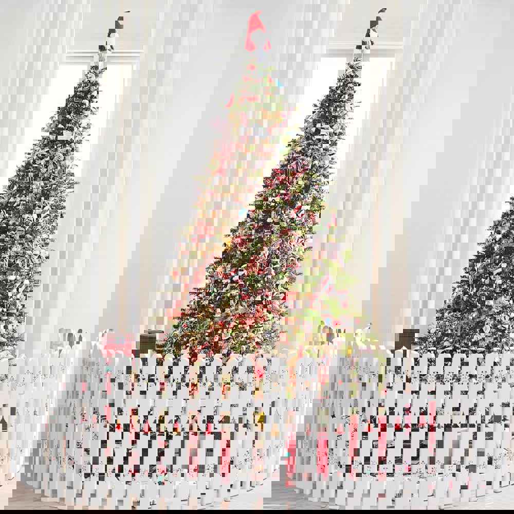 556645