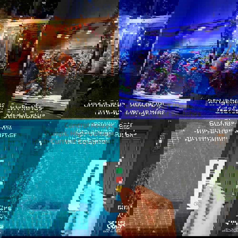 556615