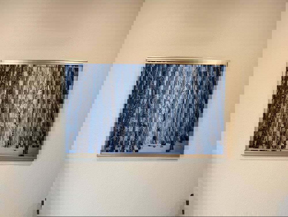 546876